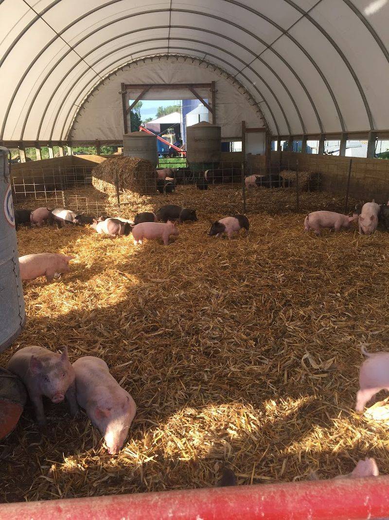 The Farm Shop Experience on Natchez Ave