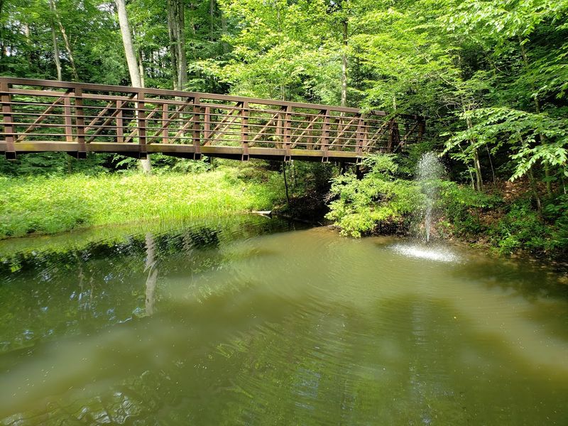 The Fishing Pond Stocked With Trout, Bass, and More