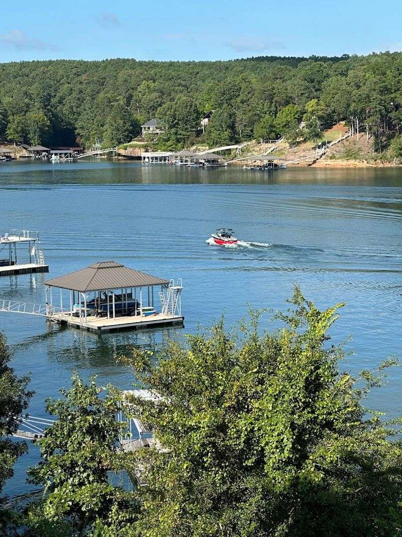 The Forest Offers Camping, Fishing, and Full Family Adventures Beyond the Fossil Hunt