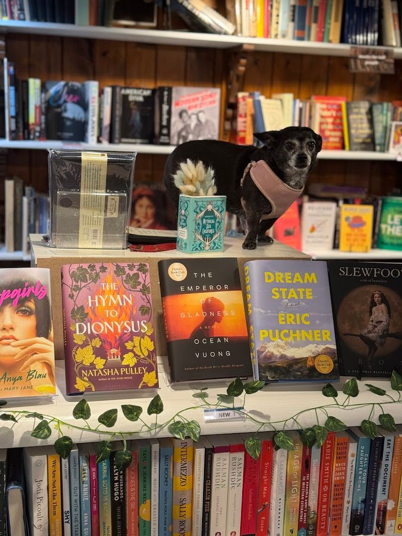 The Four-Legged Reason This Bookstore Has a Name