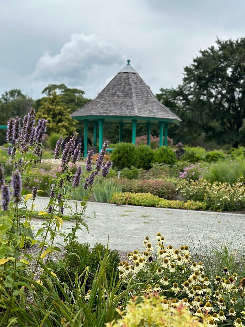 The Fragrance and Sensory Garden Designed for Every Visitor The Fragrance and Sensory Garden Designed for Every Visitor