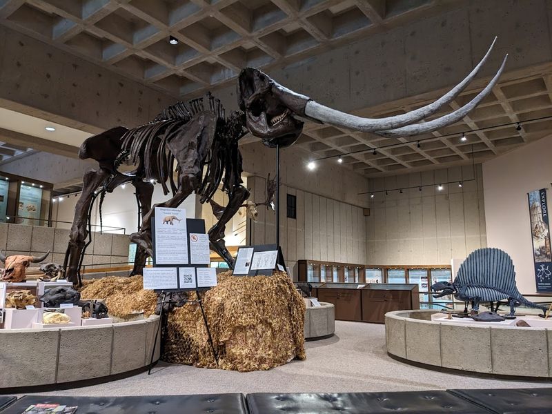 The Free Museum That Completely Steals the Show