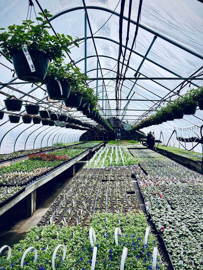 The Garden Center, A Plant Lover's Dream The Garden Center, A Plant Lover's Dream