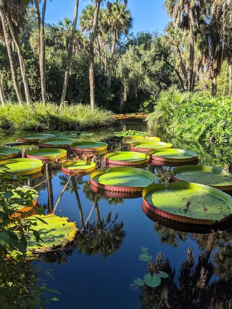 The Garden Paths That Slow You Down