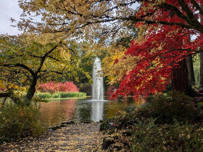 The Garden in Fall and Winter: Still Worth the Visit The Garden in Fall and Winter: Still Worth the Visit