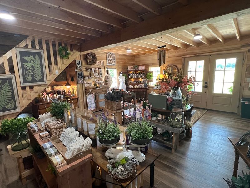The Gift Shop That Will Empty Your Wallet Happily