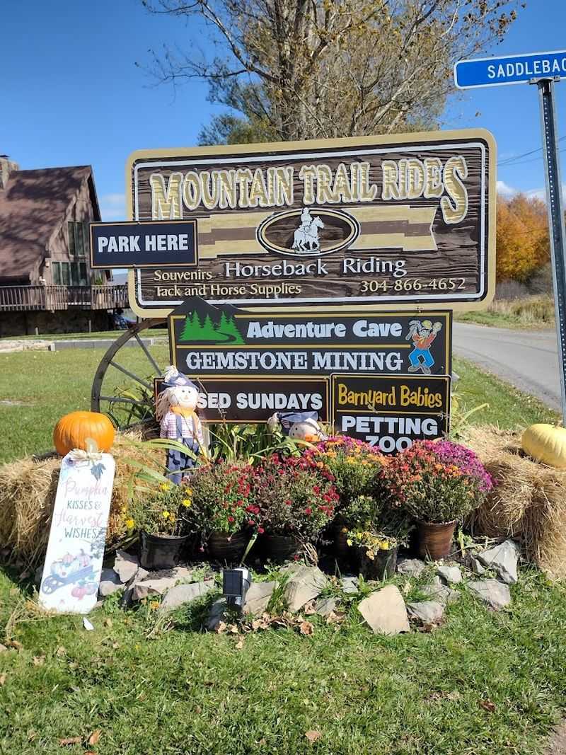 The Gift Shop Worth Browsing