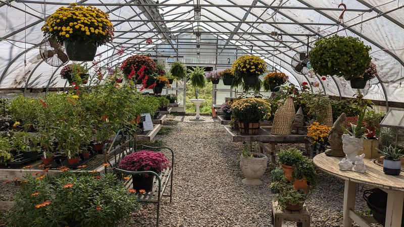 The Gift Shops and Greenhouse Worth Exploring