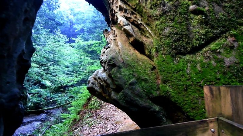 The Gorge Trail: Easy, Paved, and Genuinely Spectacular The Gorge Trail: Easy, Paved, and Genuinely Spectacular
