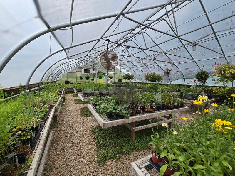 The Greenhouse and Garden Shop Full of Herbal Treasures