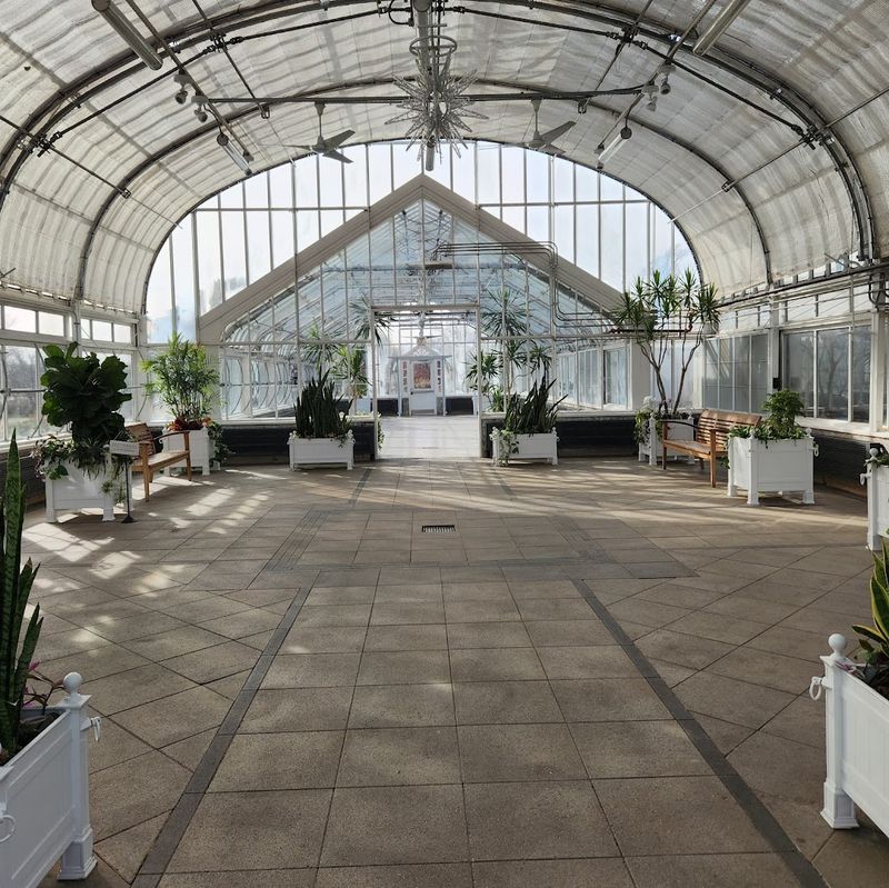 The Greenhouse and Its Surprising Cactus Collection