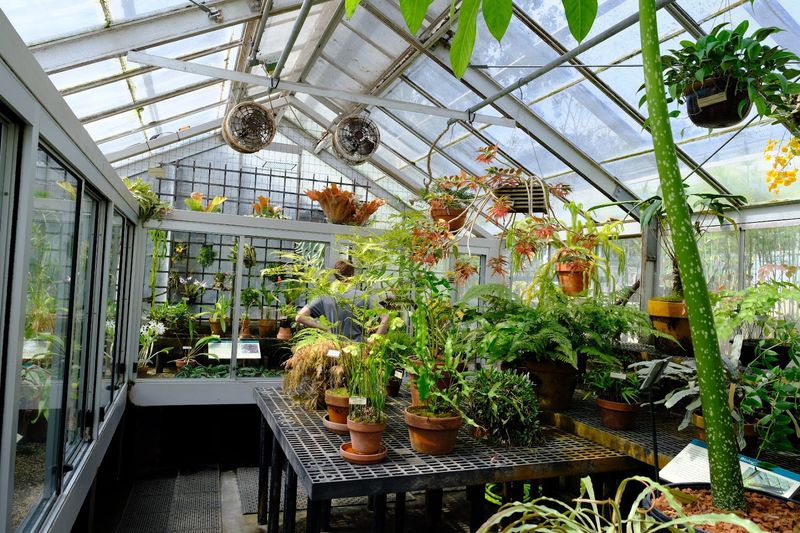 The Greenhouses Change The Mood Entirely The Greenhouses Change The Mood Entirely