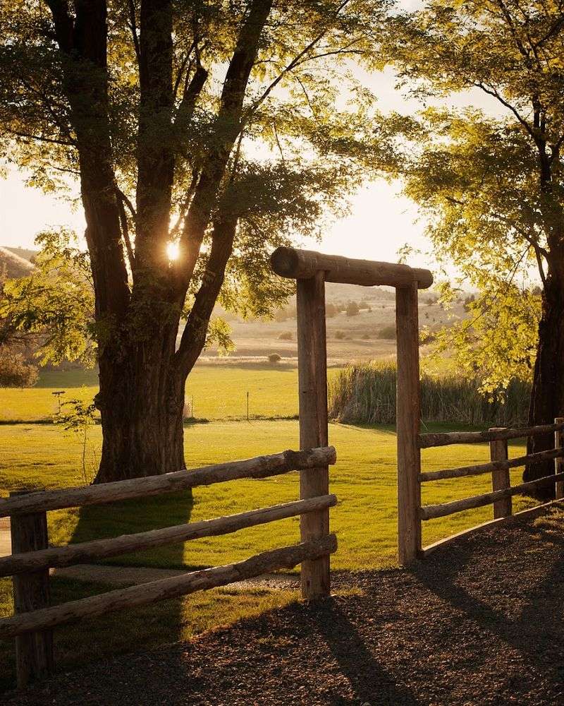 The Grounds, Hammocks, and Outdoor Life The Grounds, Hammocks, and Outdoor Life