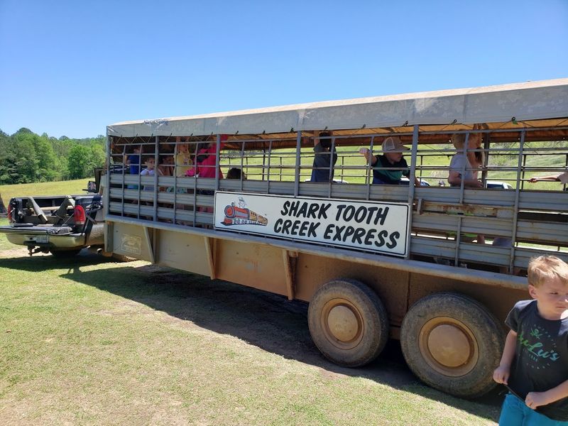 The Hayride to the Creek Is Part of the Fun The Hayride to the Creek Is Part of the Fun