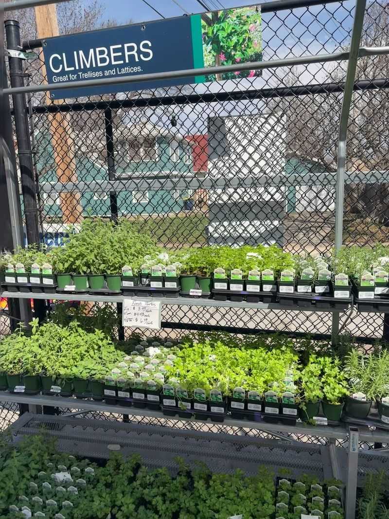 The Herb Section Stands Out