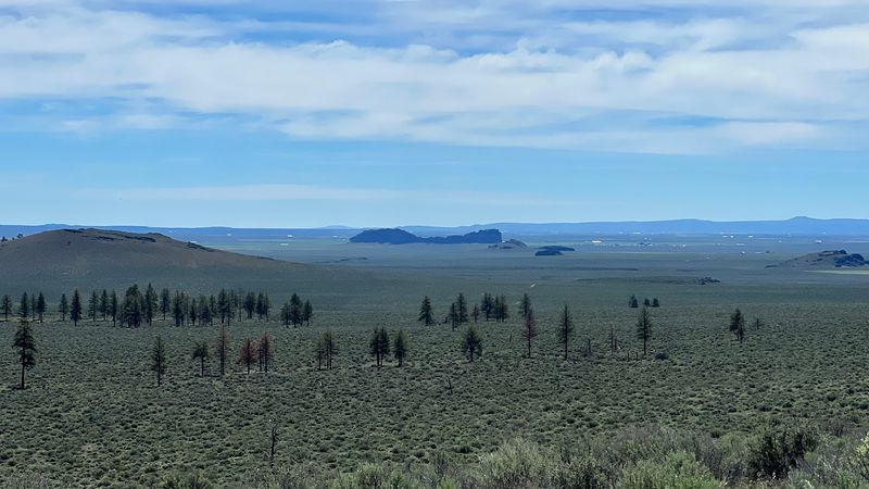 The High Desert Landscape Surrounding the Site The High Desert Landscape Surrounding the Site
