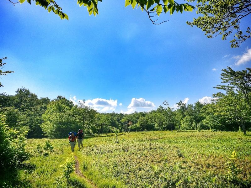 The Hiking Trails That Range From Boardwalks to Boot-Stealing Mud