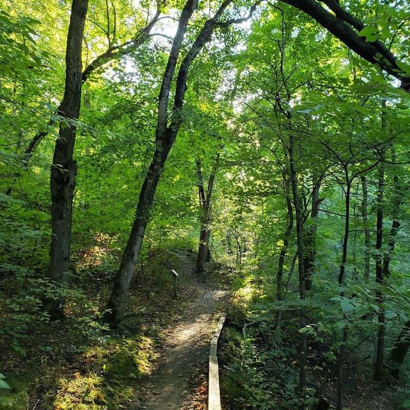 The Hiking Trails That Wind Through Valley and Prairie