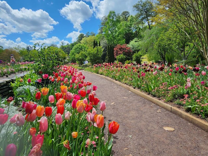 The Historic Gardens Have Real Presence The Historic Gardens Have Real Presence