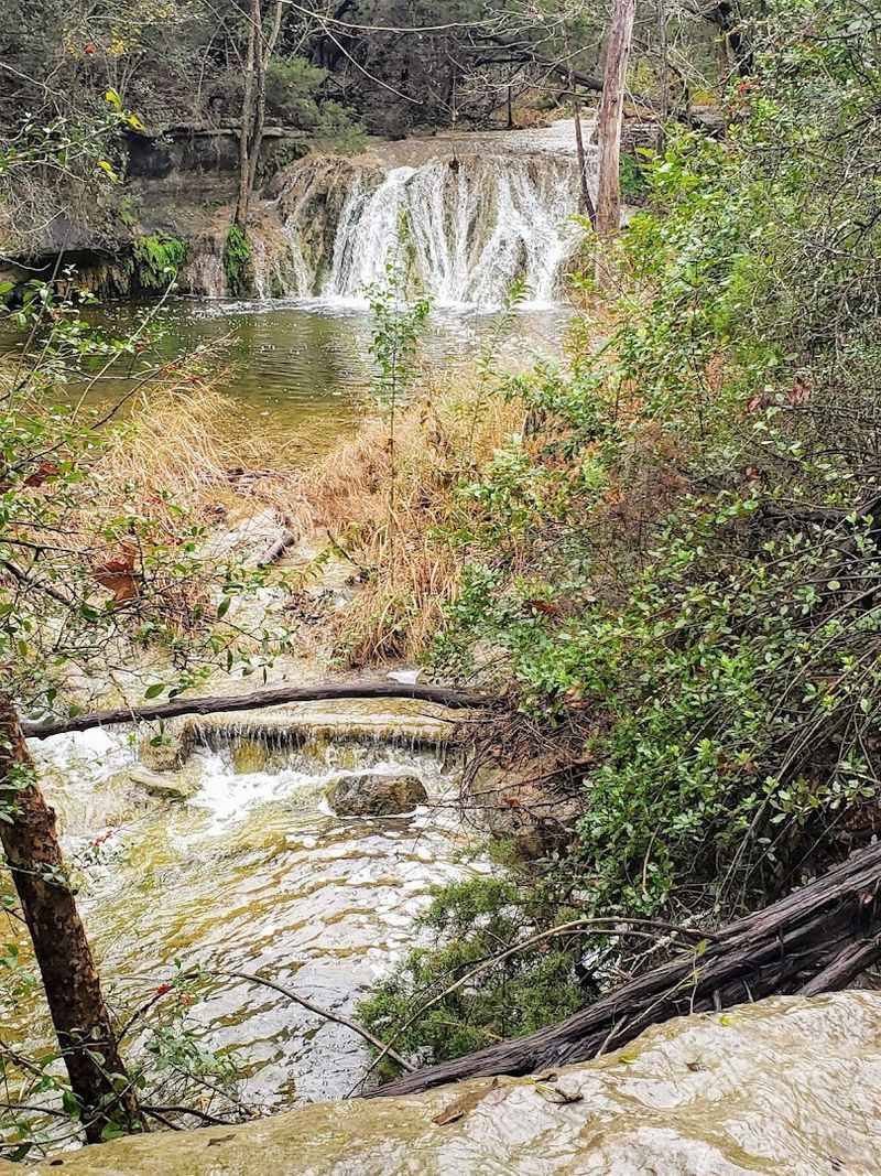 The History Behind Austin's First Nature Preserve