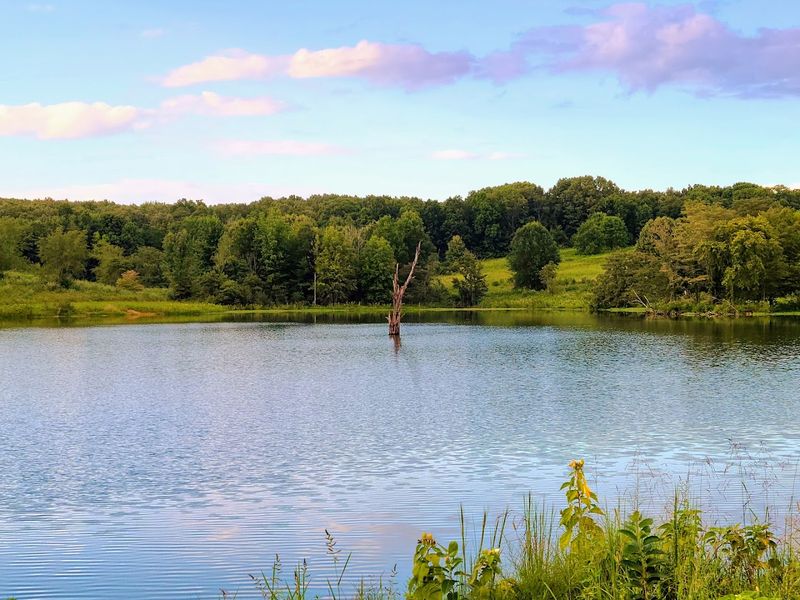The History Behind the Refuge and Its Wetlands