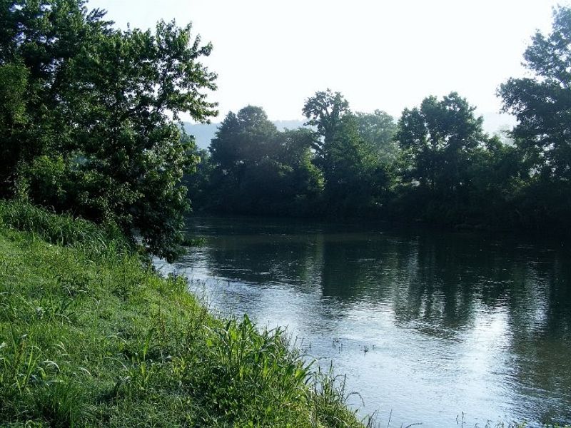 The History and Cultural Roots of the Area