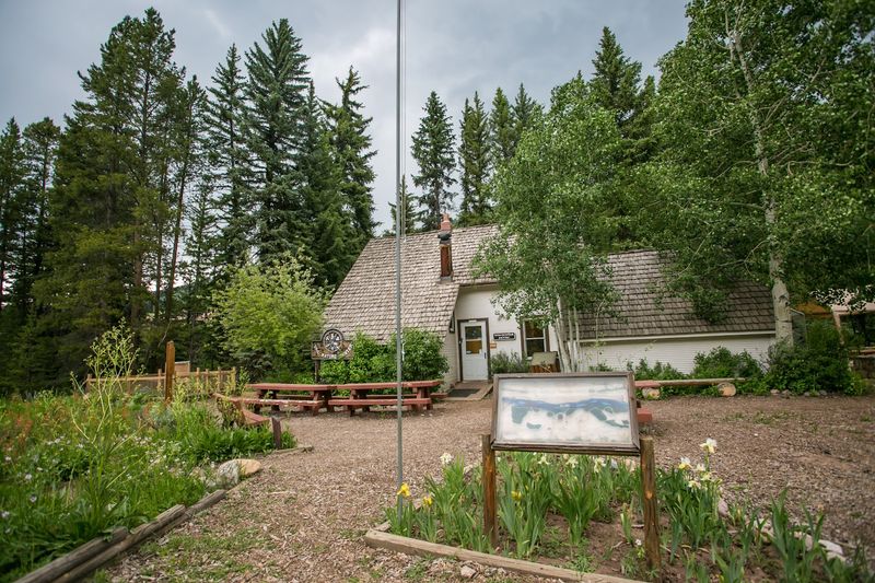 The Homestead Setting: Seven Acres That Feel Like a Different World