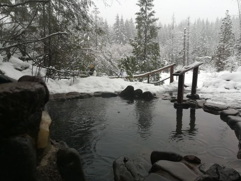 The Hot Spring Pools and What Makes Each One Different