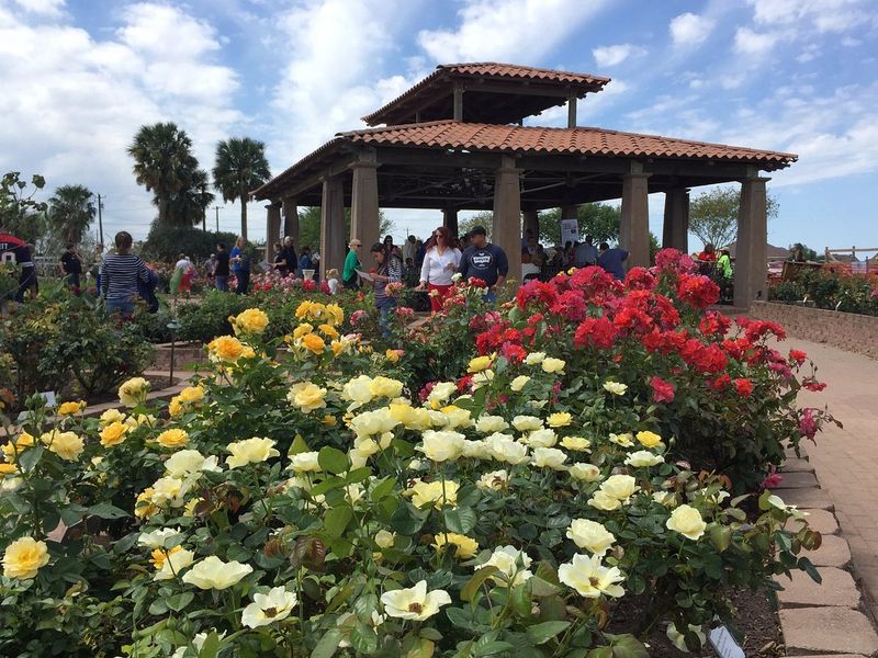 The Hummingbird Garden and Sensory Garden