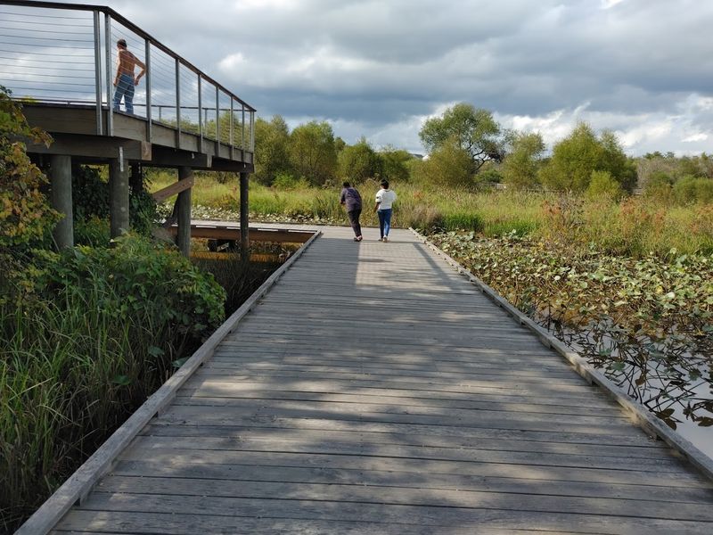 The Kayak Launch Adding a Whole New Dimension