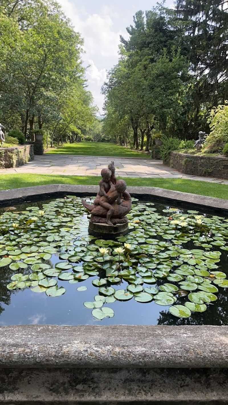 The Koi Pond and Other Small Discoveries The Koi Pond and Other Small Discoveries