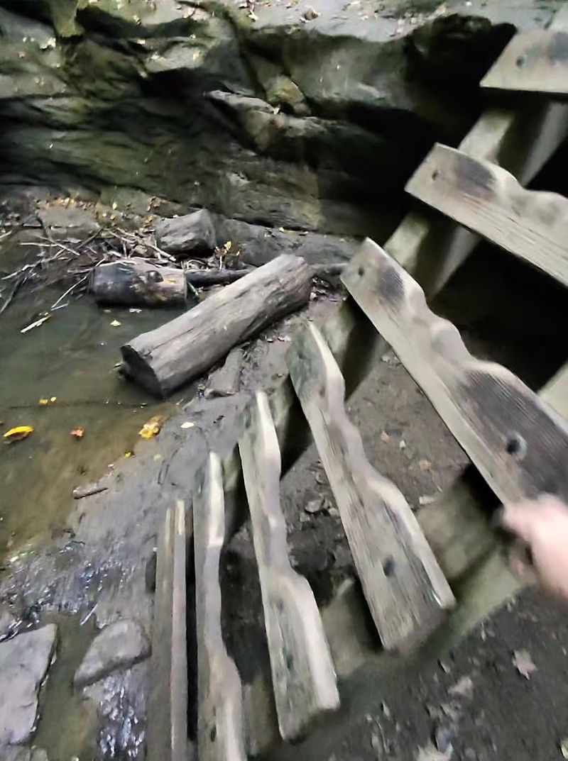 The Ladders Trail (Trail 3) - Turkey Run State Park