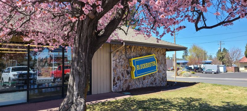 The Last Blockbuster on Earth: A Living Piece of Pop Culture History The Last Blockbuster on Earth: A Living Piece of Pop Culture History