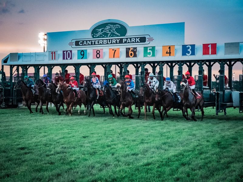 The Live Horse Racing Experience That Started It All