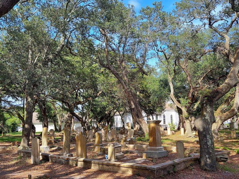 The Live Oaks Make It Stranger