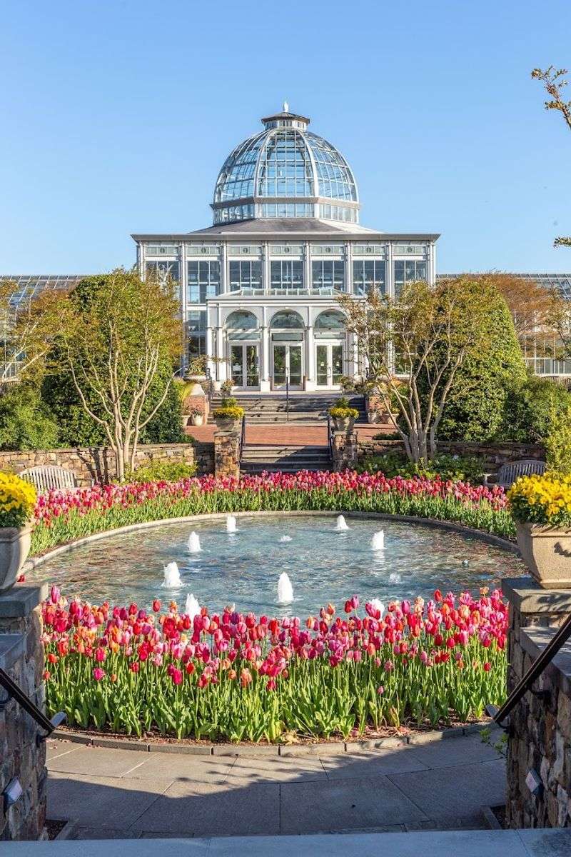 The Living Masterpiece Over 125 Years in the Making