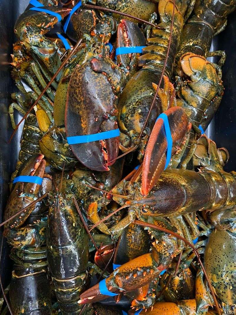 The Lobster Move Everyone Talks About