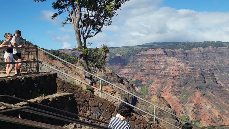 The Lookout Points That Stop You Cold