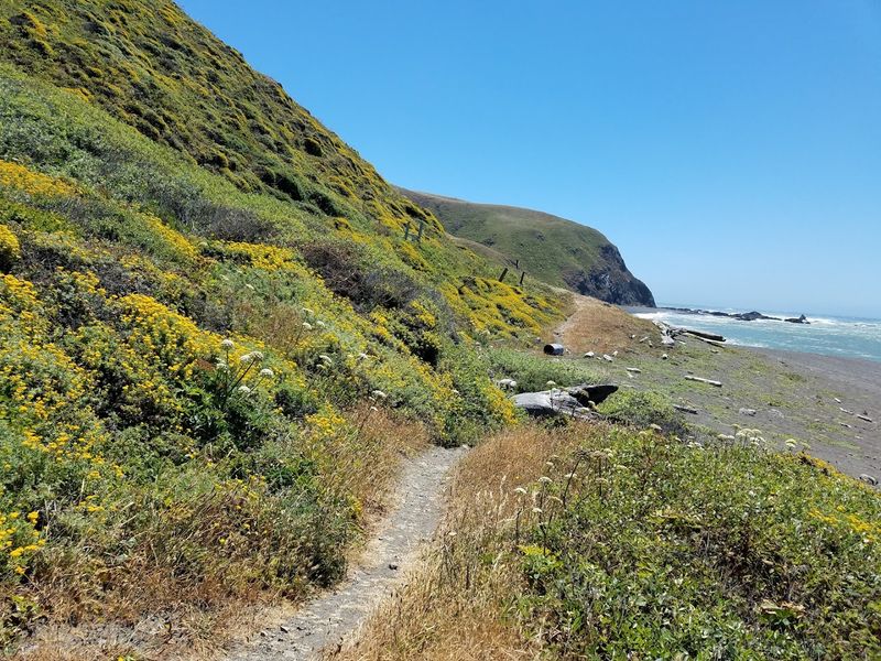 The Lost Coast Trail: A Hike Unlike Any Other