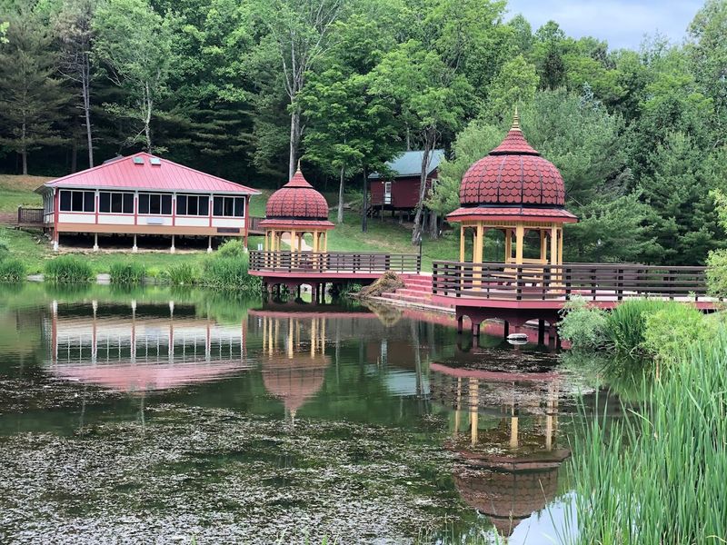 The Lotus Pond and the Art of Slowing Down