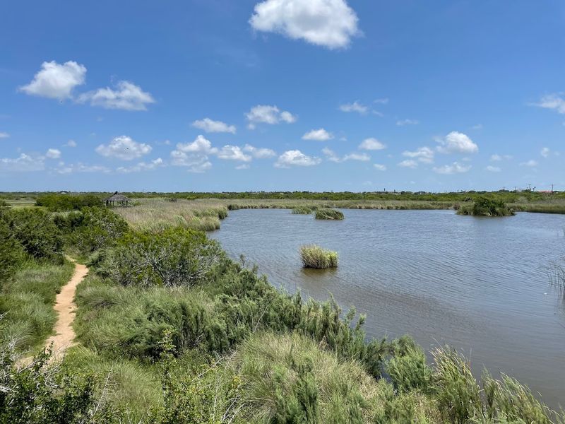 The Mary Hope Brennecke Nature Trail and Wetlands Boardwalk