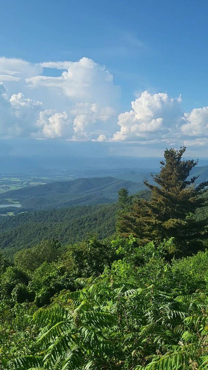 The Massanutten Mountain Show