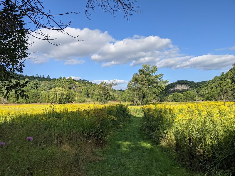 The Meadow and Valley Trails for Easy Family Hiking The Meadow and Valley Trails for Easy Family Hiking
