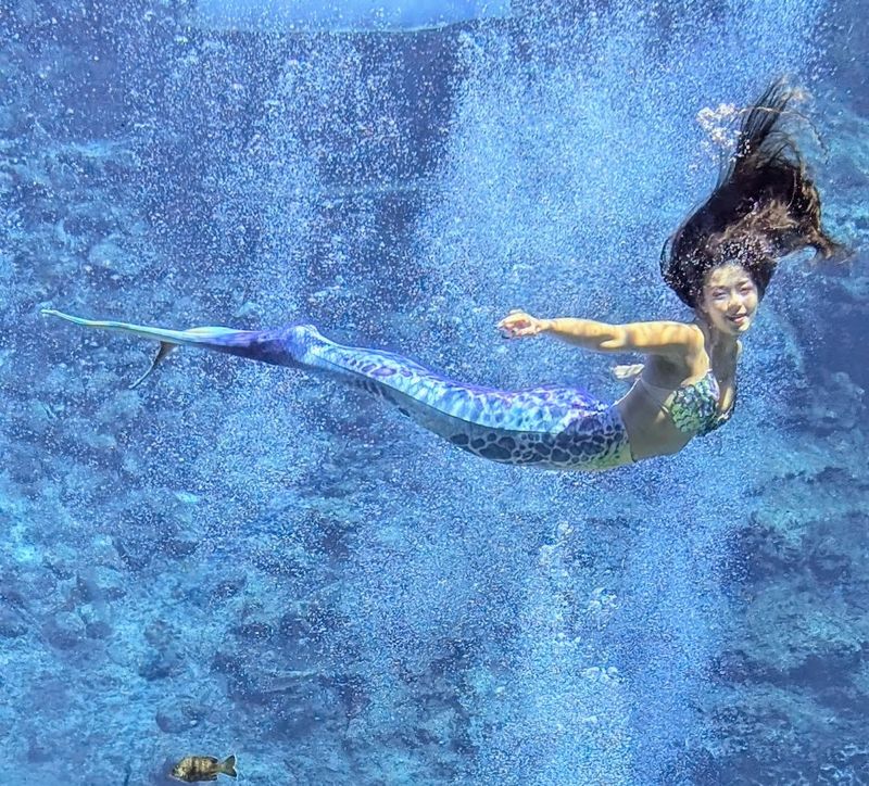 The Mermaid Show Is More Impressive Than You Expect