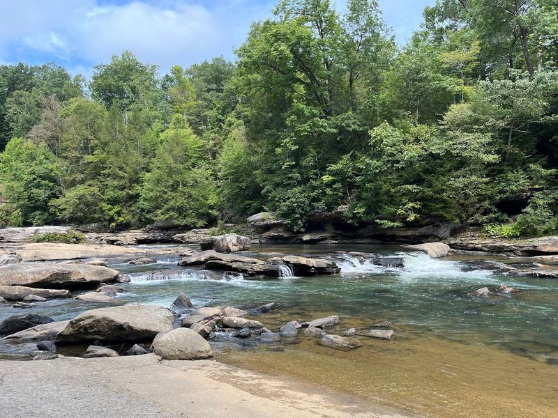The Middle Fork River