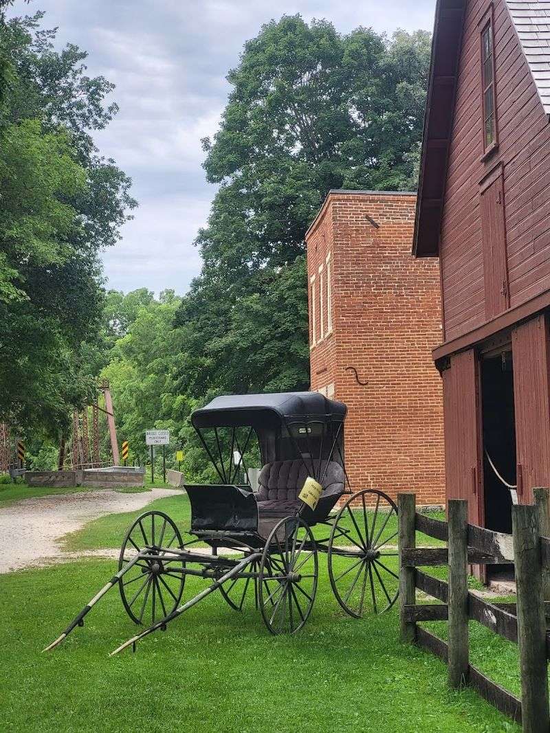 The Minnesota Historical Society and Its Role Here