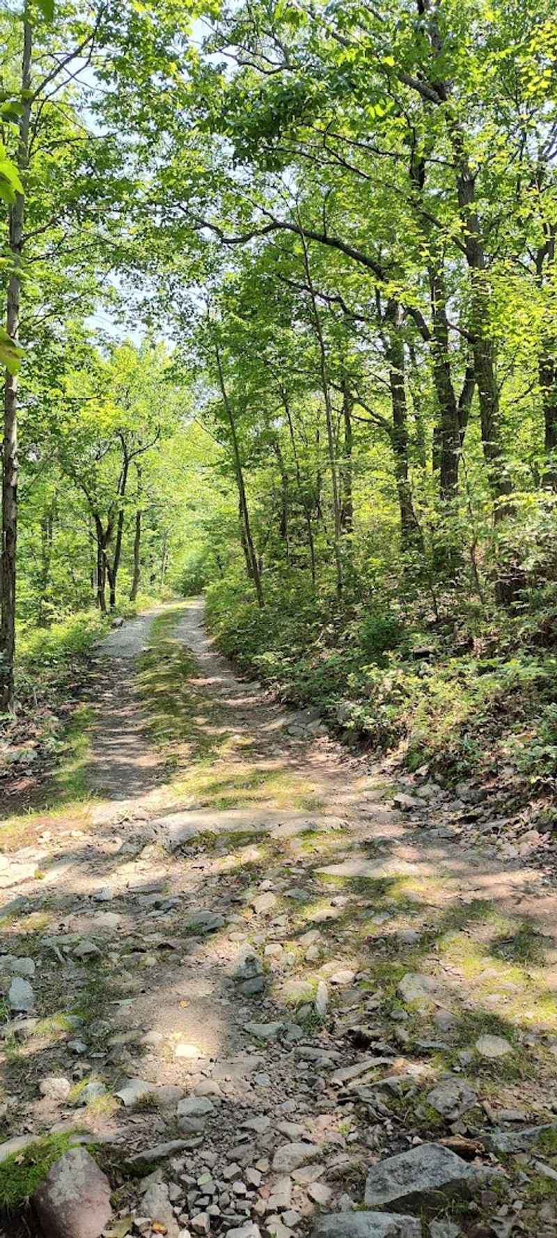 The Moderate Hike That Rewards Every Step