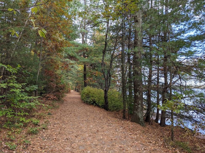 The NH Audubon Massabesic Center and the Living Shoreline