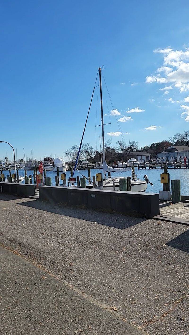 The NJDEP State Marina and Its Year-Round Appeal