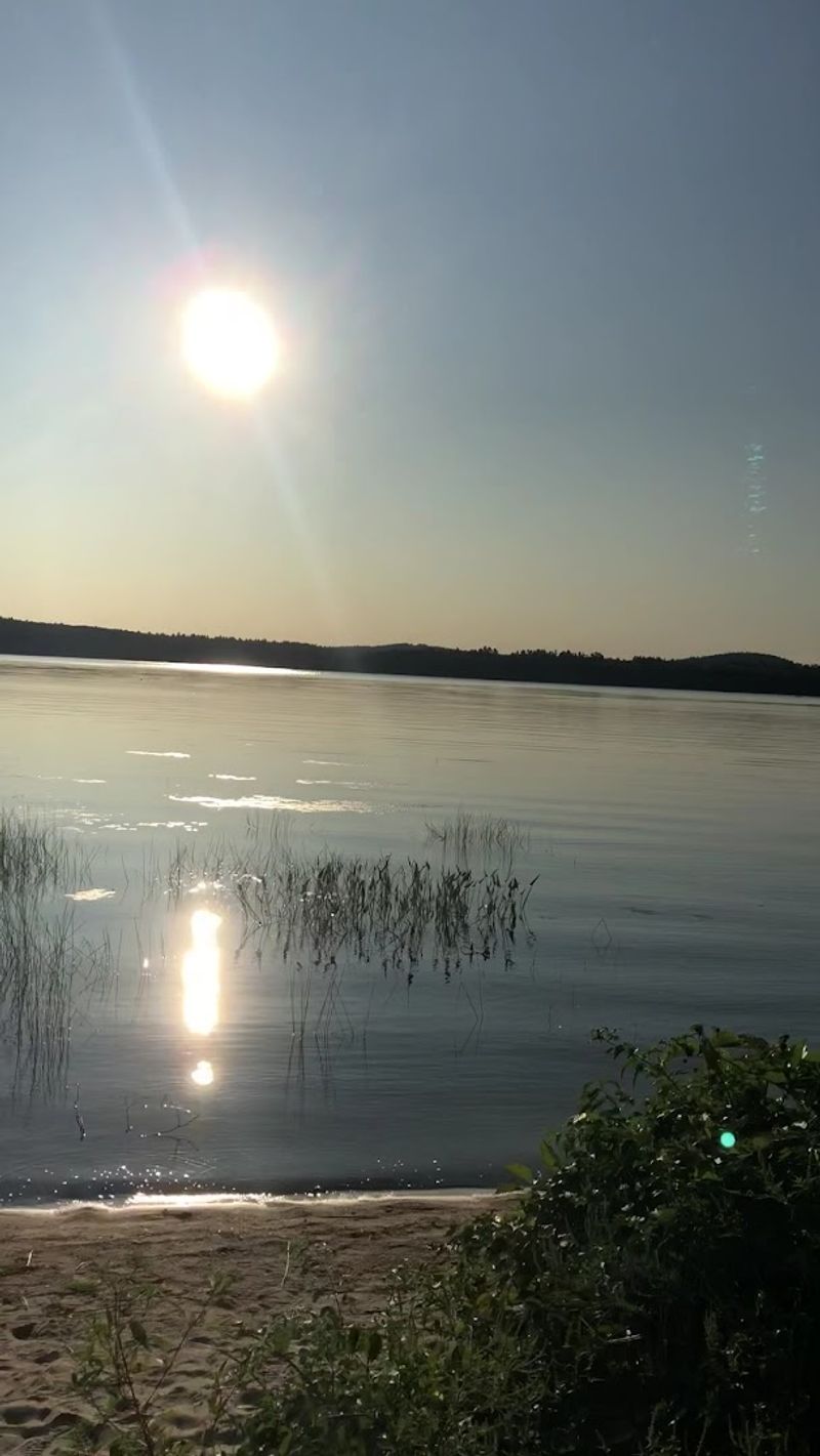The Native Roots Beneath the Water